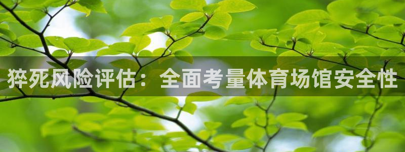 尊龙凯时旗舰厅百家乐下载