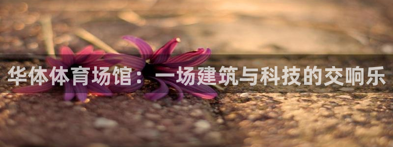 尊龙凯时平台信誉怎样