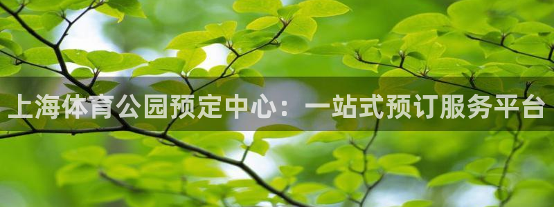 尊龙网址苹果版下载