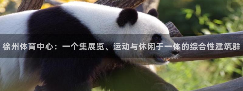 尊龙凯时登入首页