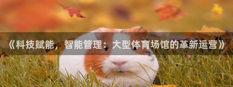 尊龙现在