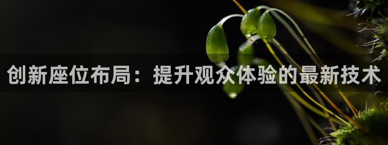 d88尊龙官网手机app