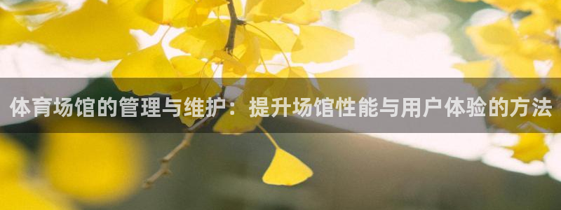 尊龙官网免费下载
