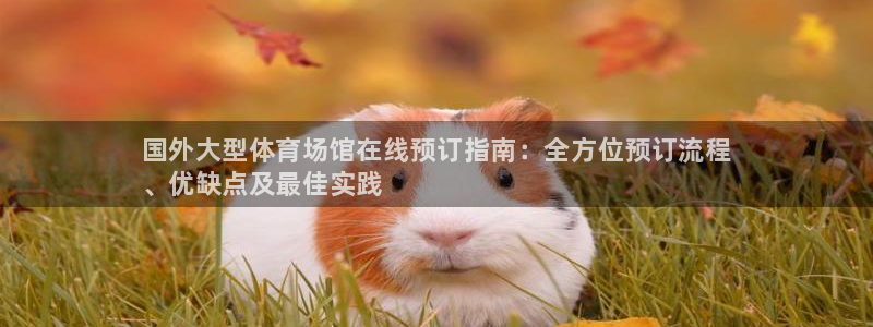尊龙官网国际：国外大型体育场馆在线预订指南：全方位预订流程
