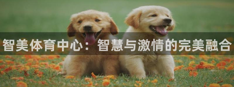 尊龙凯时人生就是博·(中国)官网